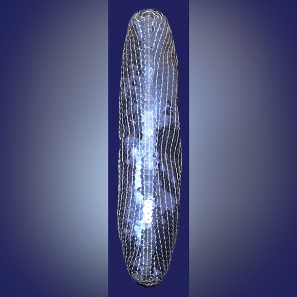 New Coach Sequin Kisslock Clutch Leather Wristlet Handle
New W/O Tag - Picture 8 of 12